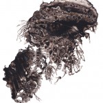 Sumi drawing